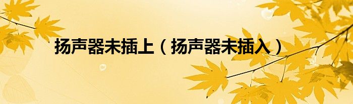 扬声器未插上（扬声器未插入）