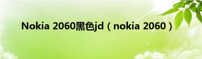 Nokia 2060黑色jd（nokia 2060）