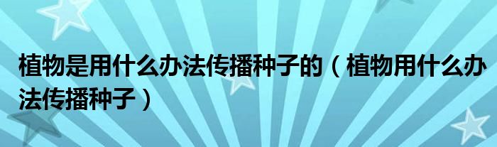 植物是用什么办法传播种子的（植物用什么办法传播种子）