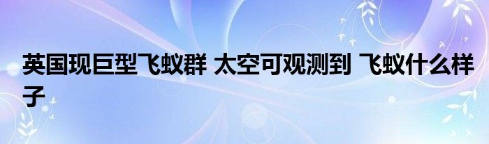 英国现巨型飞蚁群 太空可观测到 飞蚁什么样子