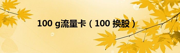 100 g流量卡（100 换股）