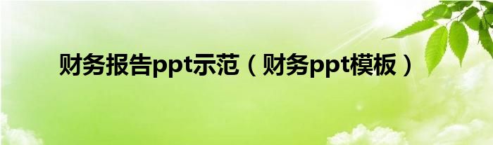 财务报告ppt示范（财务ppt模板）