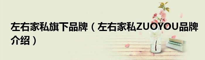 左右家私旗下品牌（左右家私ZUOYOU品牌介绍）
