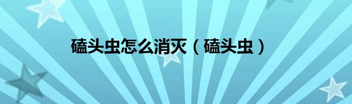 磕头虫怎么消灭（磕头虫）