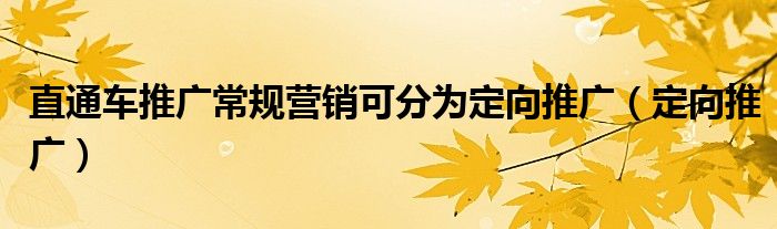 直通车推广常规营销可分为定向推广（定向推广）