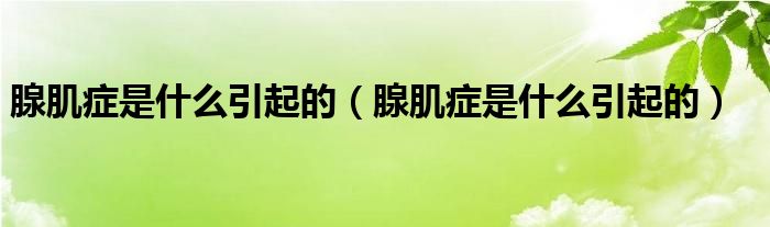 腺肌症是什么引起的（腺肌症是什么引起的）