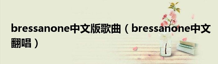 bressanone中文版歌曲（bressanone中文翻唱）