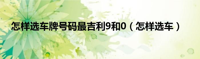怎样选车牌号码最吉利9和0（怎样选车）