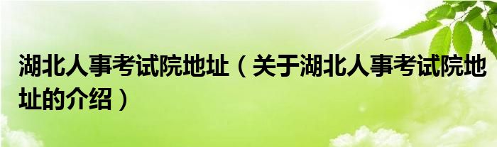 湖北人事考试院地址（关于湖北人事考试院地址的介绍）