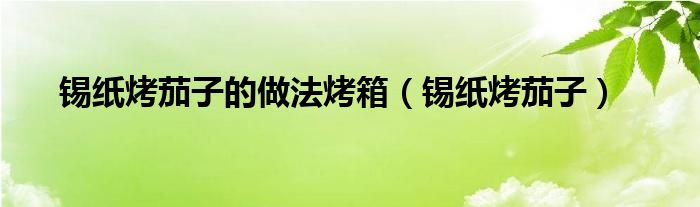 锡纸烤茄子的做法烤箱（锡纸烤茄子）