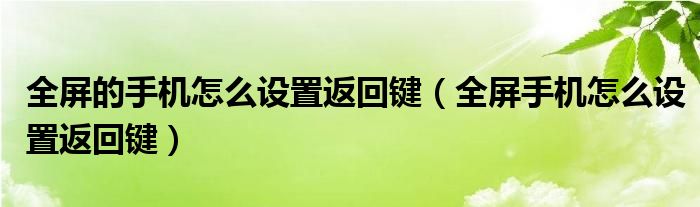 全屏的手机怎么设置返回键（全屏手机怎么设置返回键）