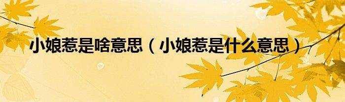 小娘惹是啥意思（小娘惹是什么意思）