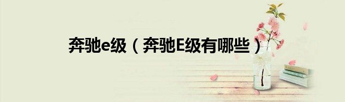 奔驰e级（奔驰E级有哪些）