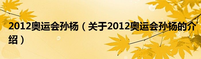 2012奥运会孙杨（关于2012奥运会孙杨的介绍）