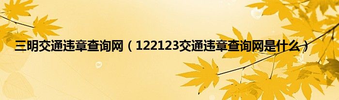 三明交通违章查询网（122123交通违章查询网是什么）