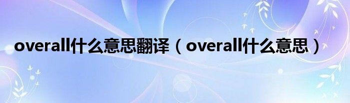 overall什么意思翻译（overall什么意思）