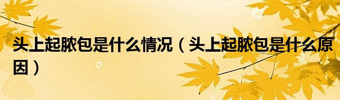 头上起脓包是什么情况（头上起脓包是什么原因）