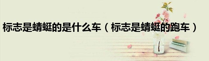 标志是蜻蜓的是什么车（标志是蜻蜓的跑车）