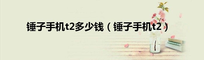 锤子手机t2多少钱（锤子手机t2）
