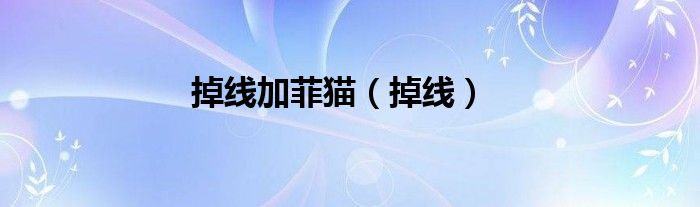 掉线加菲猫（掉线）