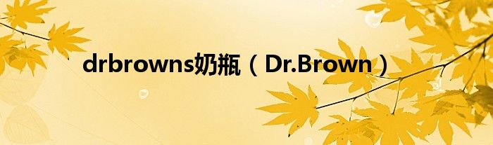 drbrowns奶瓶（Dr.Brown）